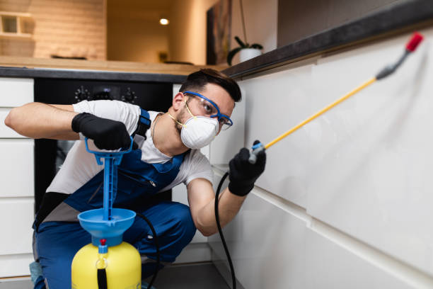 Best Wasp Removal Services  in Navesink, NJ