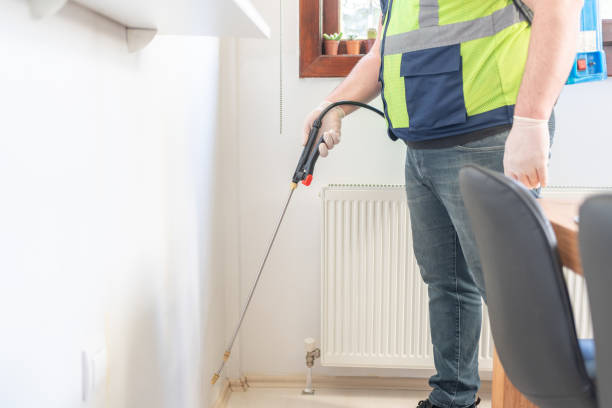 Reliable Navesink, NJ Pest Control Solutions